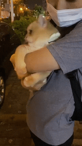 1672042943557.gif : 파주 어쩌구 전여칭도 죽엿데