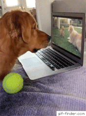 1688043095827.gif : 네하뿅 1688043095827.gif : 네하뿅
