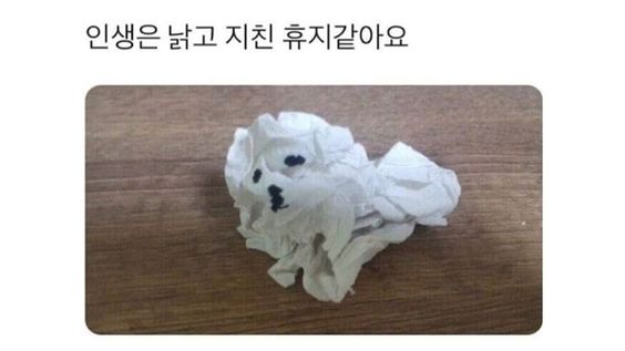 1650261001537.png : 일본 여행 빨라도 6~7월부터나 가능하긋? 1650261001537.png : 일본 여행 빨라도 6~7월부터나 가능하긋?