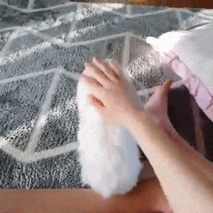 66259e6899df70439ffb64b07b6a3cdb.gif : 밥먹어서 졸려 66259e6899df70439ffb64b07b6a3cdb.gif : 밥먹어서 졸려