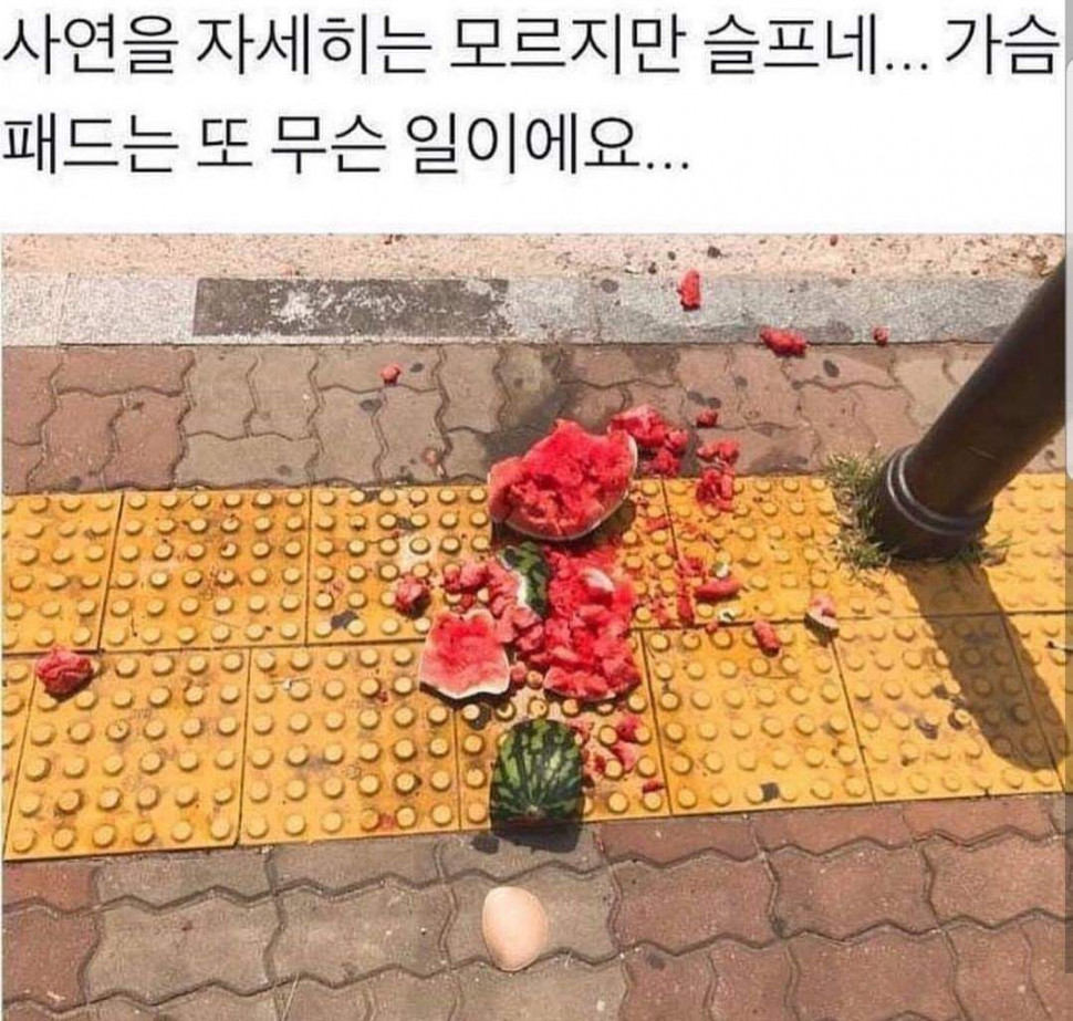 59535573_376491202963127_2375603096395972608_o.jpg : 졸려 59535573_376491202963127_2375603096395972608_o.jpg : 졸려