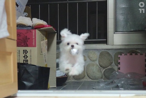 b4612f410bc7b40b3c561ba5053a4b2fbadf2111.jpeg : 우리의 만남은 우연이 아니야 b4612f410bc7b40b3c561ba5053a4b2fbadf2111.jpeg : 우리의 만남은 우연이 아니야