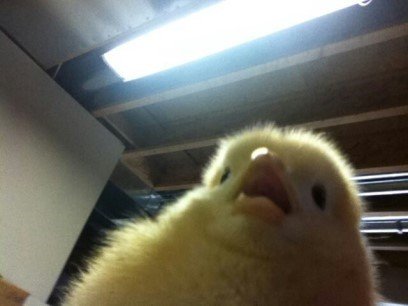 1577298289.jpg : 나도 일본갈래!!@ 1577298289.jpg : 나도 일본갈래!!@