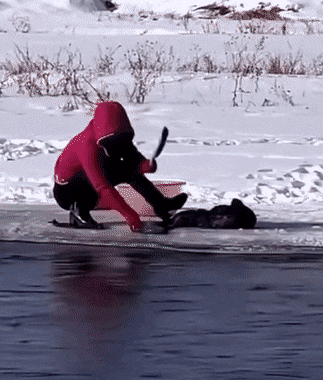 1676464968687.gif : 북한은 아직도 강물에서 빨래하네