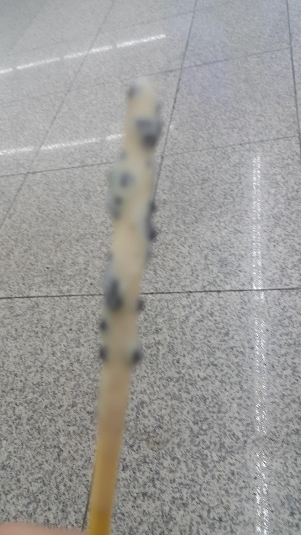 1541997189230-1399877676.jpg : 네흥빼빼맛이%÷* 1541997189230-1399877676.jpg : 네흥빼빼맛이%÷*