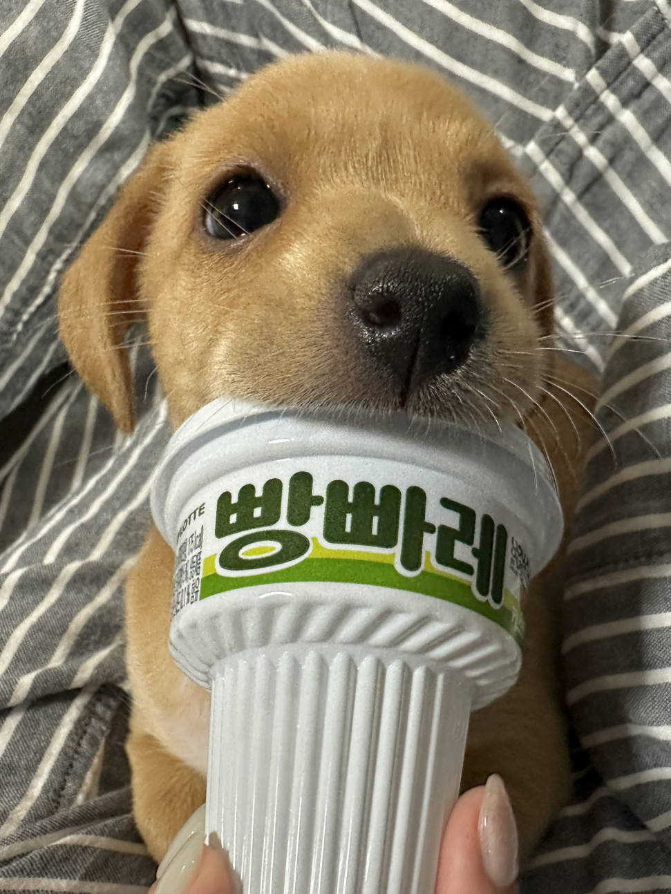 IMG_0280.jpeg : 제 친구에요 IMG_0280.jpeg : 제 친구에요