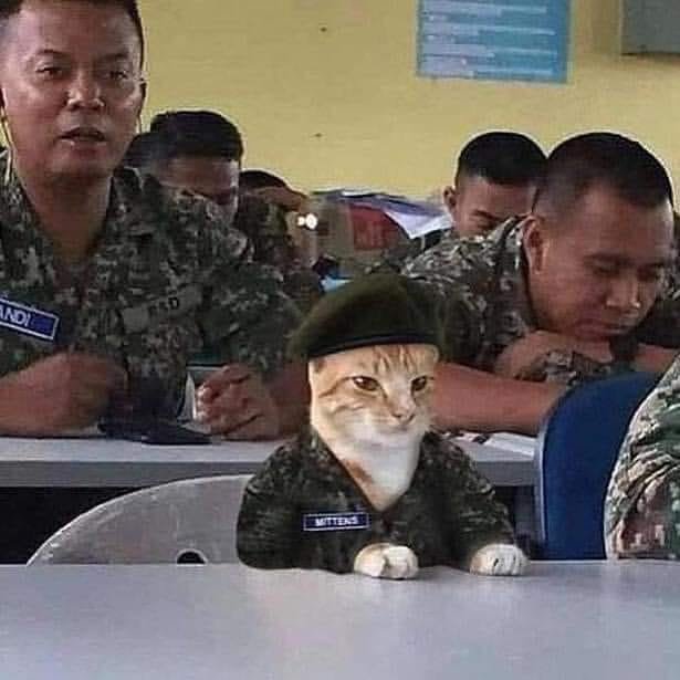 1579194900.jpeg : 빅뱅이론좀보다자야징