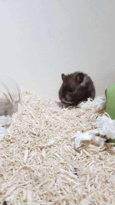1573718531.gif : 성공하고싶다 1573718531.gif : 성공하고싶다