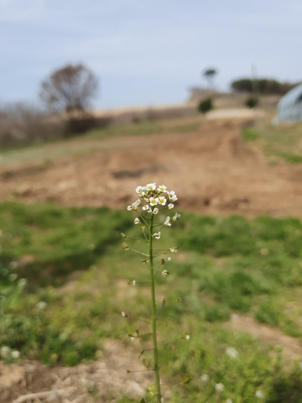 20240402_134703.jpg : 좋은 하루 되세요 20240402_134703.jpg : 좋은 하루 되세요