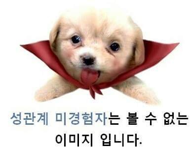 837ACFDD-67EC-462C-8C5B-117636AA027E.jpeg : 네흥이 쥬지흔들러감