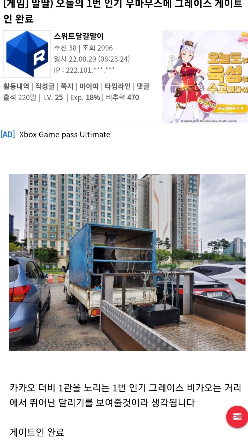 1661741936639.jpg : 그레이스, 게이트 인 완료! 1661741936639.jpg : 그레이스, 게이트 인 완료!