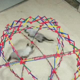 1700508217.gif : 규제가 필요하긴한데 1700508217.gif : 규제가 필요하긴한데