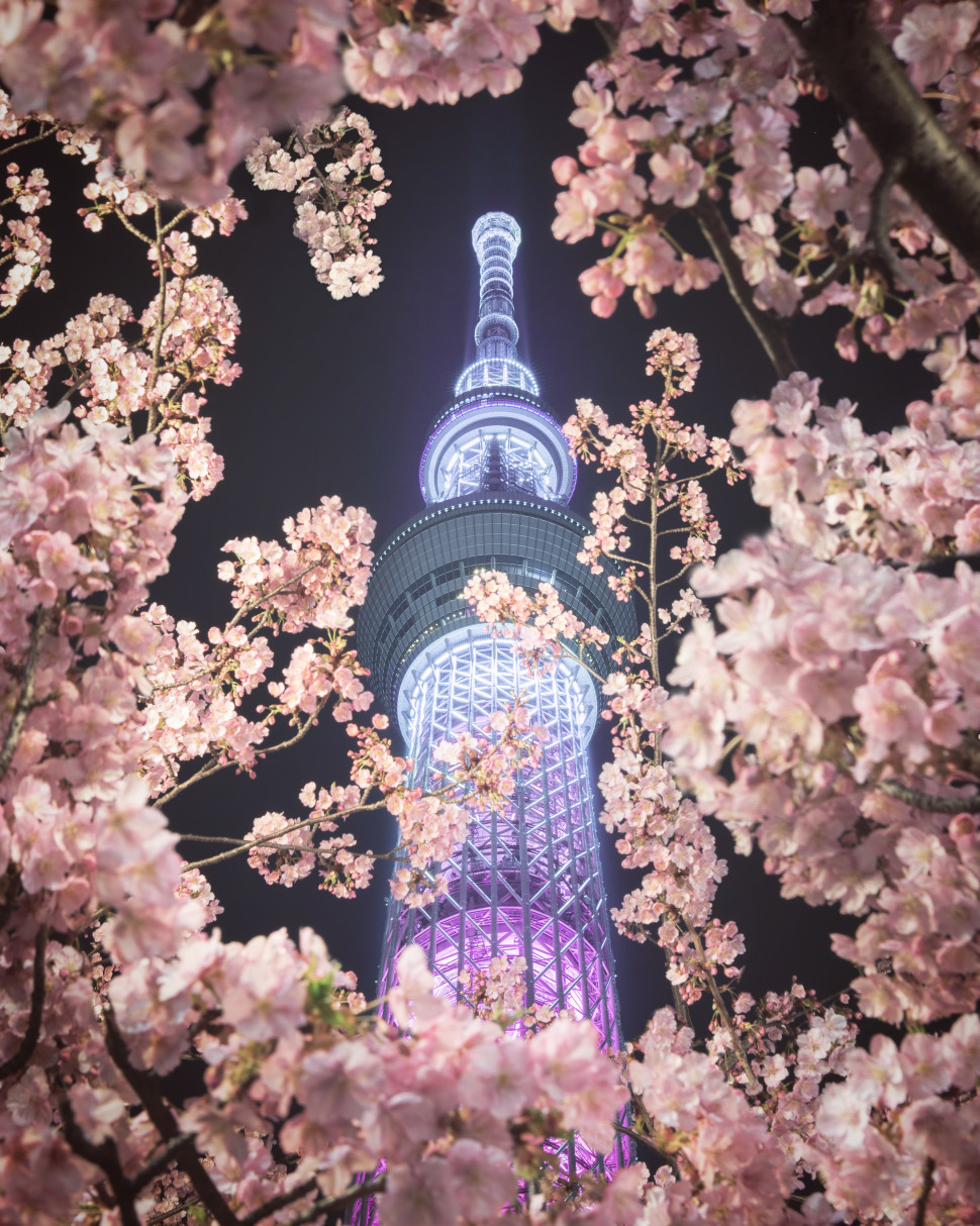 403471F6-2F01-4D6B-ACD8-947DB725678C.jpeg : 와 씨발 작화
