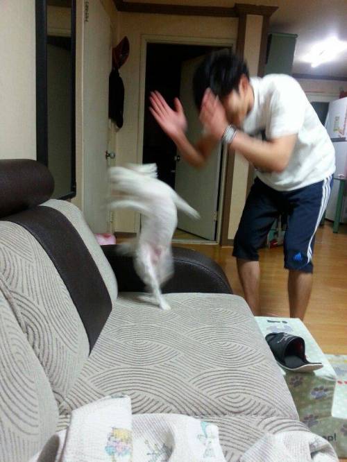 55409994-494A-4526-994F-09C81BA47973.jpeg : 베스트짤 원본이양 55409994-494A-4526-994F-09C81BA47973.jpeg : 베스트짤 원본이양