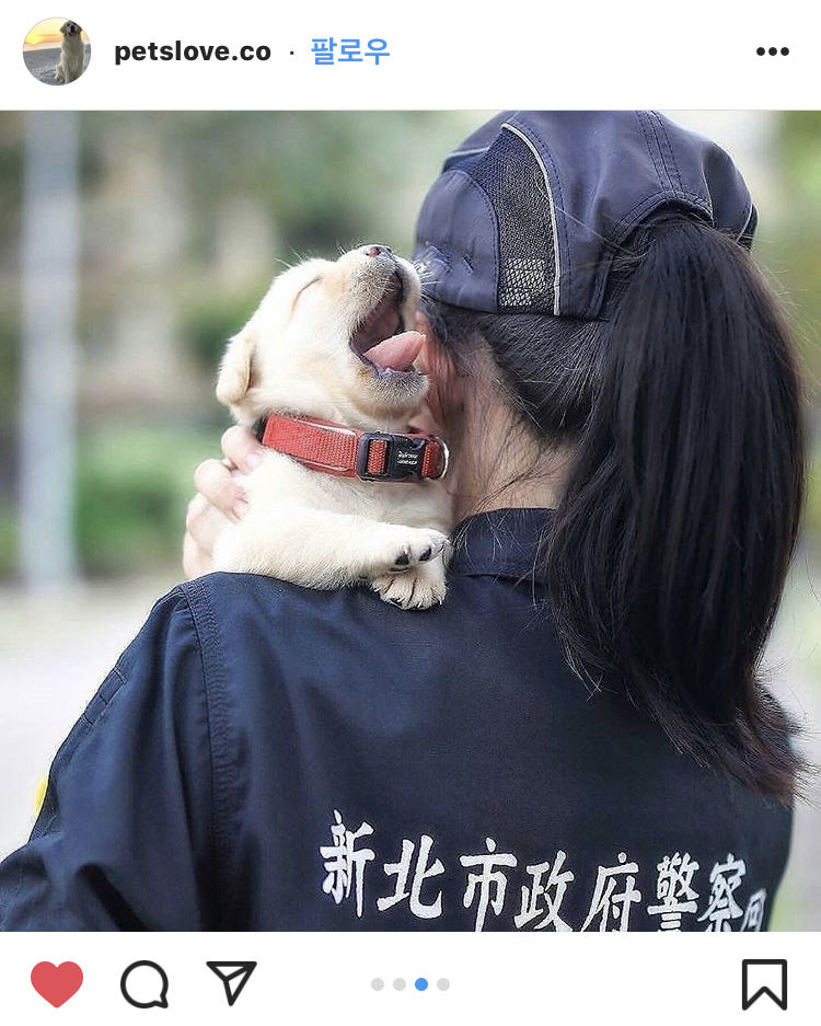 F5C89E03-BD9D-40C2-A758-6B08E5DC137E.jpeg : 네흥이 감기몸살 F5C89E03-BD9D-40C2-A758-6B08E5DC137E.jpeg : 네흥이 감기몸살