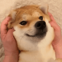 B6F5A70B-0E91-4E85-A0A6-43585F261375.gif : 파닥파닥 B6F5A70B-0E91-4E85-A0A6-43585F261375.gif : 파닥파닥