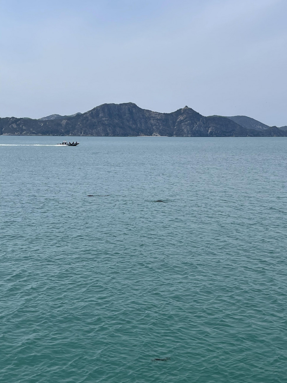3067C0F8-79D4-4F4A-B943-3A84B55EE32D.jpeg : 보이냐 와 ㅅㅂ 돌고래있어 !!! 3067C0F8-79D4-4F4A-B943-3A84B55EE32D.jpeg : 보이냐 와 ㅅㅂ 돌고래있어 !!!