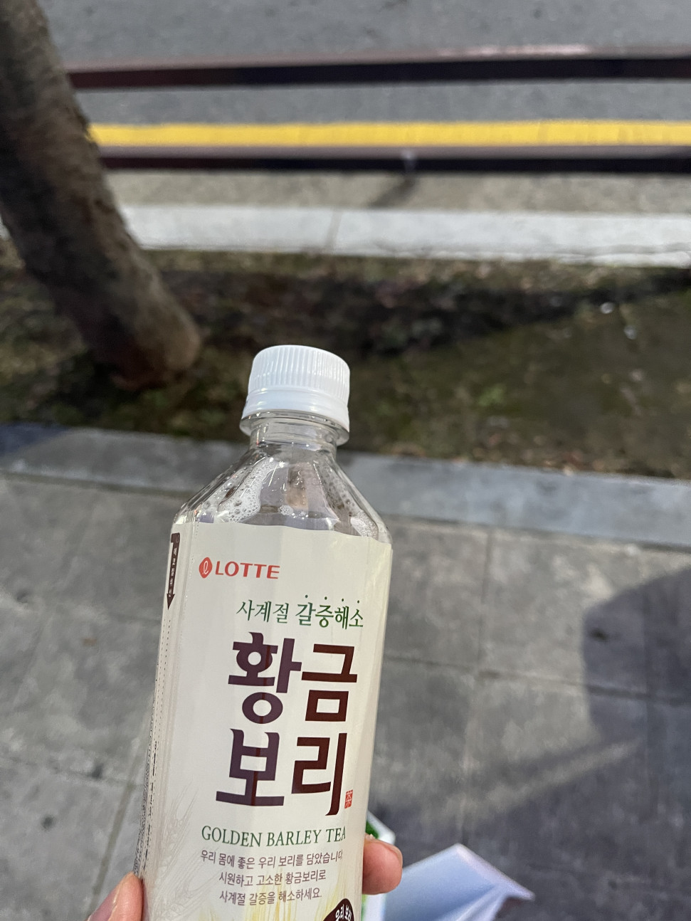 CFA1AEB6-8A74-4011-8F7F-DF3590521347.jpeg : 존나 재미있었다 CFA1AEB6-8A74-4011-8F7F-DF3590521347.jpeg : 존나 재미있었다