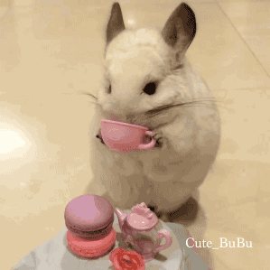 1542139665.gif : 네힝이덜 점심 인증 점 해보거러 1542139665.gif : 네힝이덜 점심 인증 점 해보거러