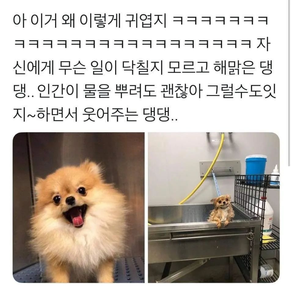 1656133628563.jpg : 네흥~~#☆%?# 1656133628563.jpg : 네흥~~#☆%?#