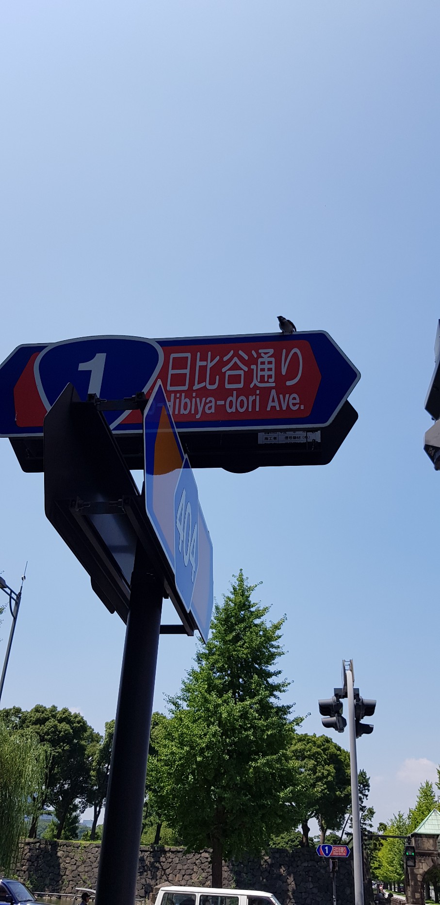 20190804_112353-907x1865.jpg : 본인쟝 내일이면 한국 귀국해야 하는거시야... 20190804_112353-907x1865.jpg : 본인쟝 내일이면 한국 귀국해야 하는거시야...