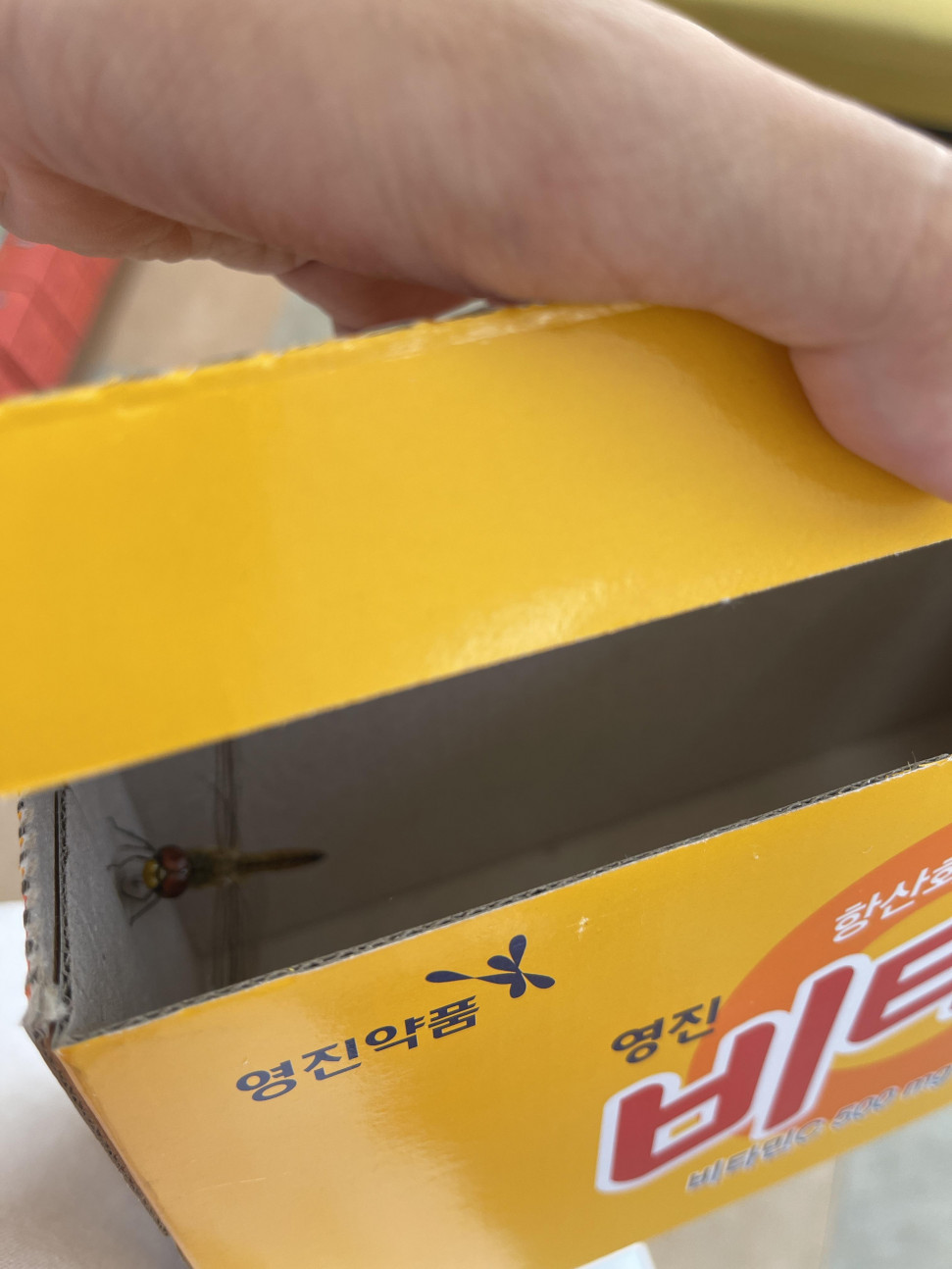 4512C706-99A7-4F20-8456-1E955D3437FA.jpeg : 오늘 왤케 조용함? 4512C706-99A7-4F20-8456-1E955D3437FA.jpeg : 오늘 왤케 조용함?