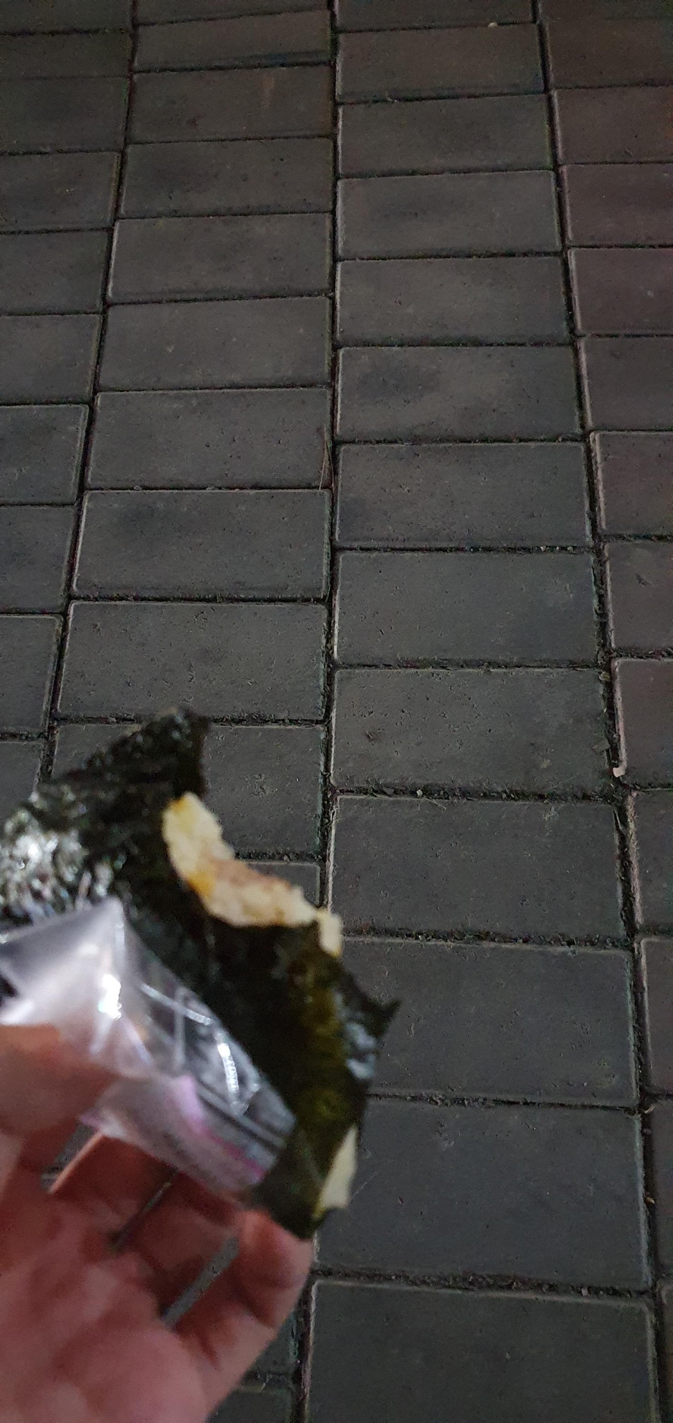 20220913_195055.jpg : 네흥이 밥 20220913_195055.jpg : 네흥이 밥