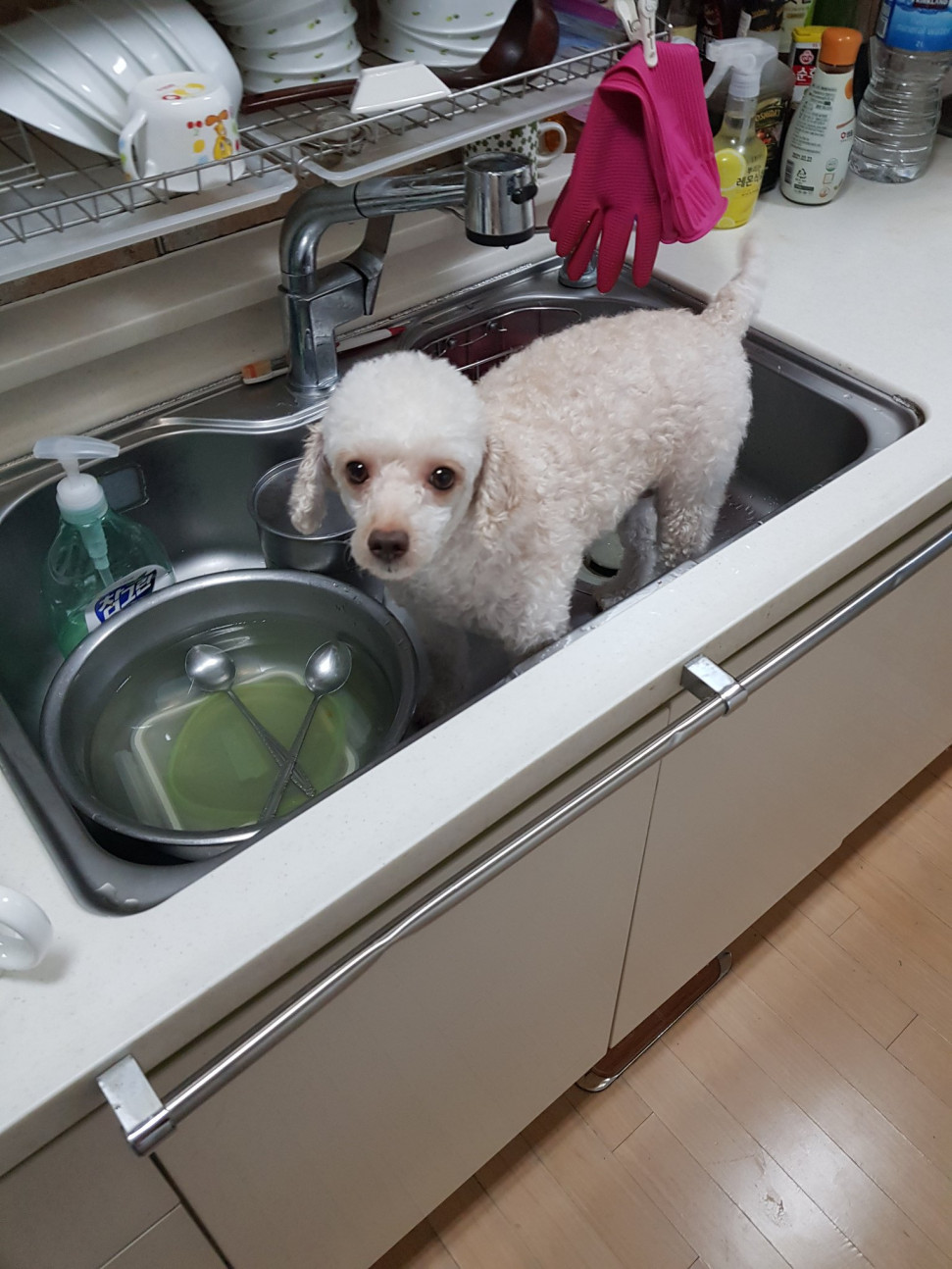 1602766268959.jpg : 네흥 1602766268959.jpg : 네흥