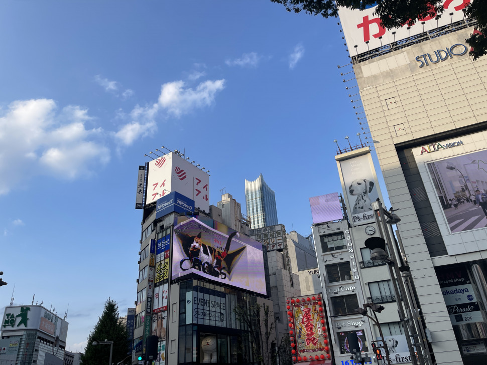 9285FD45-50C7-4DBA-B311-E7C4F4D49223.jpeg : 후.....빨리 9285FD45-50C7-4DBA-B311-E7C4F4D49223.jpeg : 후.....빨리