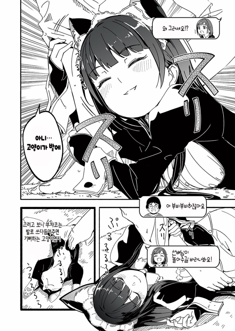 Internet_20201007_002331_4.jpeg : 고양이 키우고 십다 Internet_20201007_002331_4.jpeg : 고양이 키우고 십다