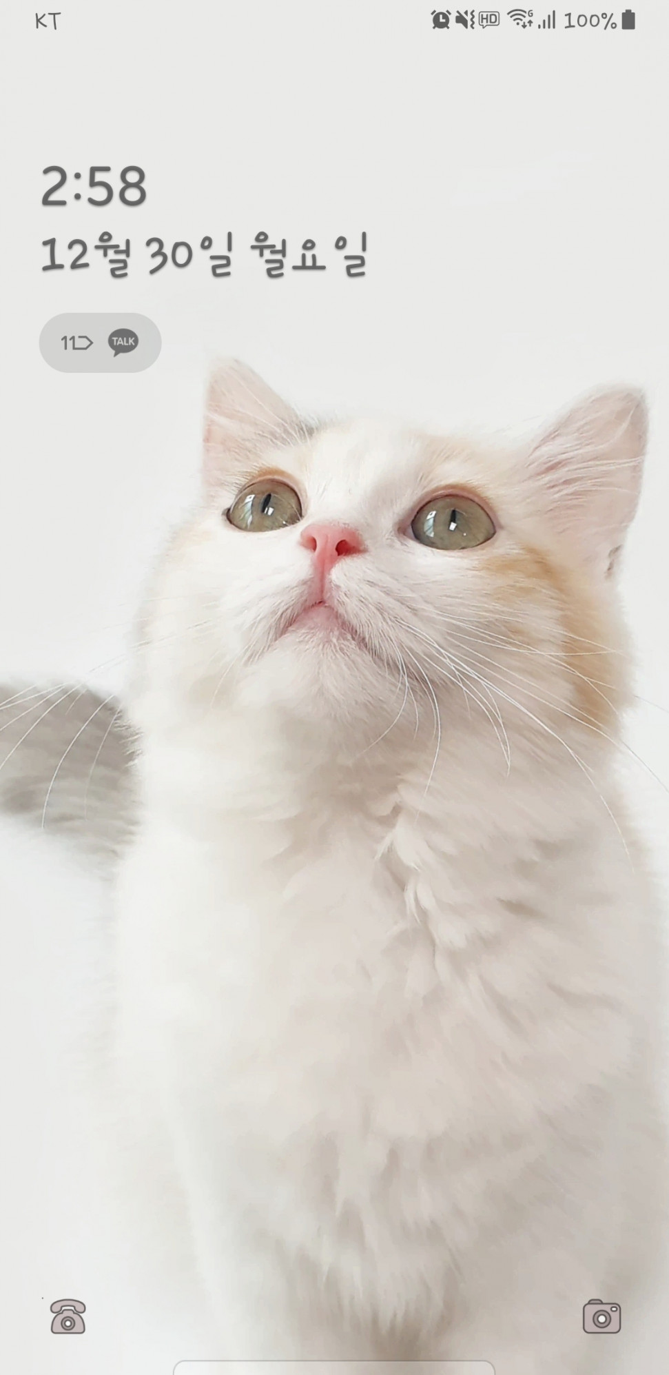 Screenshot_20191230-145831_One UI Home.jpg : 네흥이 이사중 ㅠㅠ Screenshot_20191230-145831_One UI Home.jpg : 네흥이 이사중 ㅠㅠ