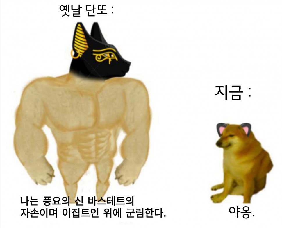 2F4D0D30-5D2F-4CFD-97DC-8C5DBBB20982.jpeg : 시바 밈 모음