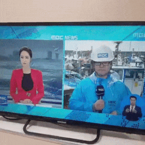 1575434362.gif : 인법.gif 1575434362.gif : 인법.gif