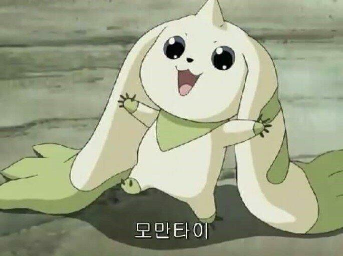 CFCF07AD-7F13-4B09-AE04-DA3367F6D001.jpeg : 모만타이 CFCF07AD-7F13-4B09-AE04-DA3367F6D001.jpeg : 모만타이