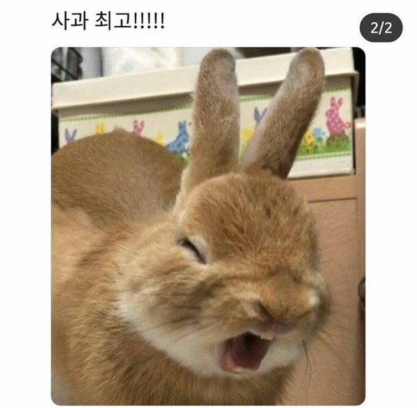 1601918849.jpg : 네망을 주깁시다 네망은 나의 원쑤 1601918849.jpg : 네망을 주깁시다 네망은 나의 원쑤