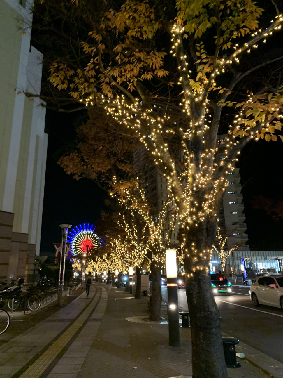 7A195FAE-05D2-470C-8753-B8FD935BD9BF.jpeg