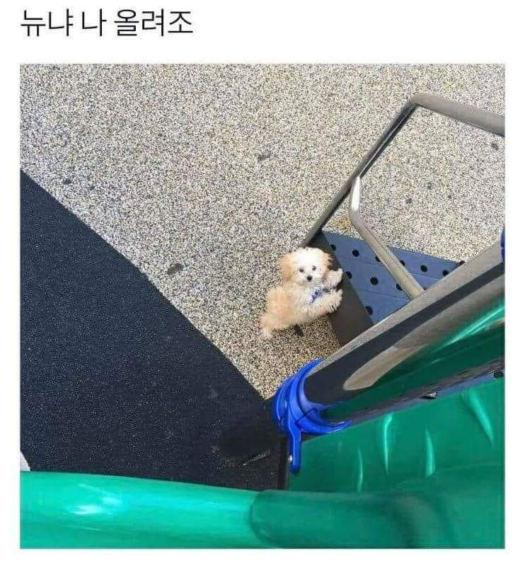61614043_2505753019448826_1526508969877569536_n.jpg : 나 올려주ㅜ 61614043_2505753019448826_1526508969877569536_n.jpg : 나 올려주ㅜ