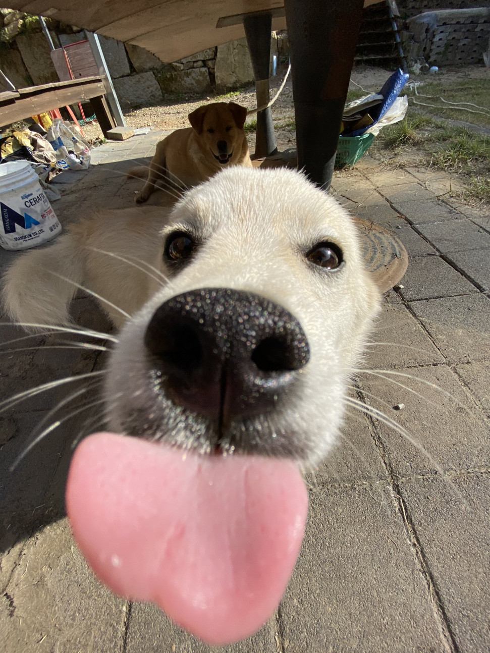 1601635526416.jpg : 네훙 1601635526416.jpg : 네훙
