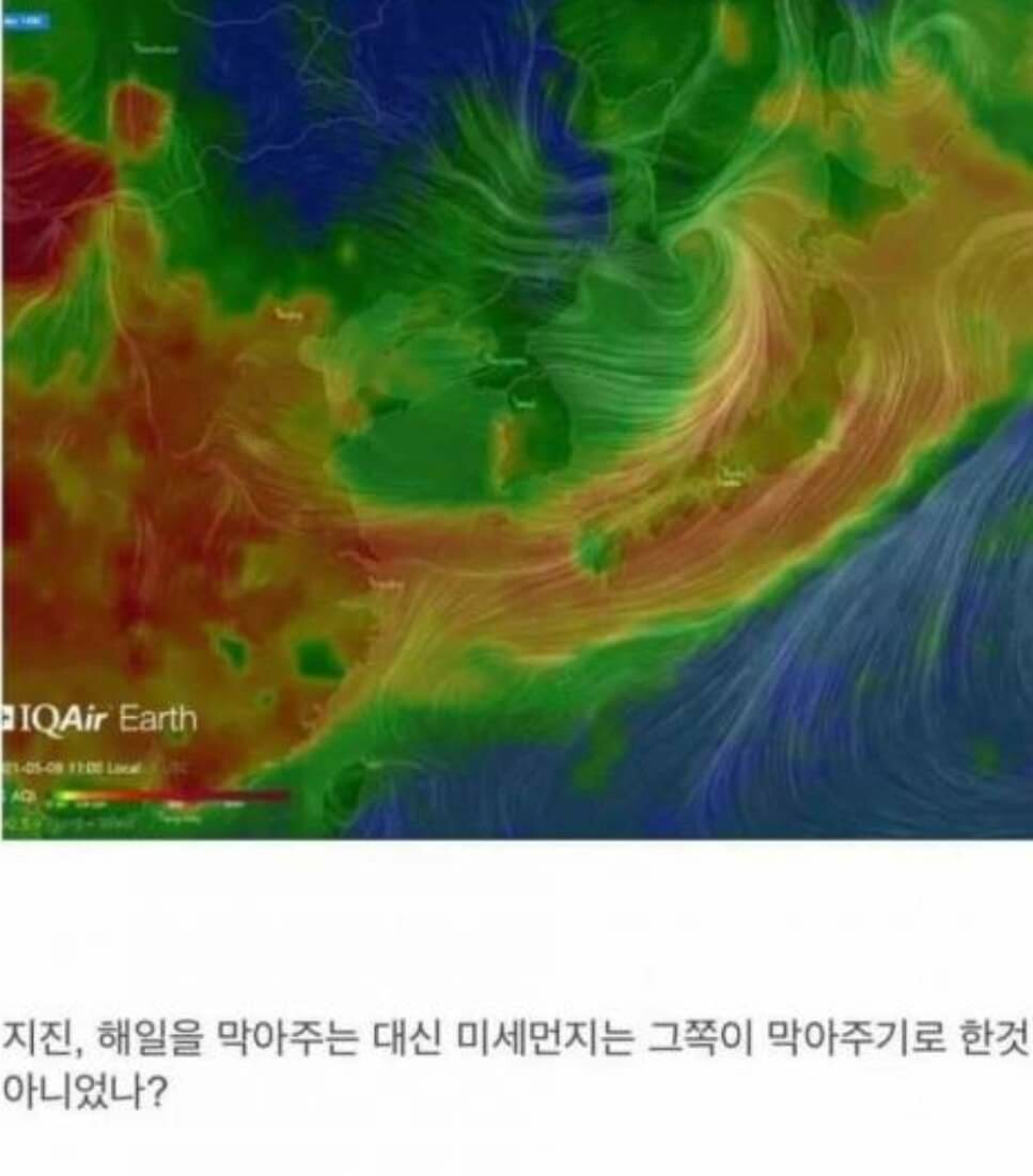 1643696538685.jpg : 이거머냥 1643696538685.jpg : 이거머냥