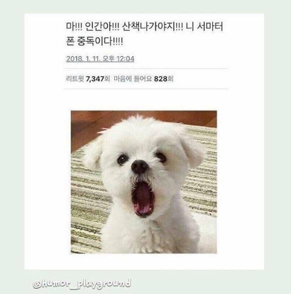 4F7BA40A-4EC3-4DED-B57E-0194E1DDEE94.jpeg : ㅇ0ㅇ 4F7BA40A-4EC3-4DED-B57E-0194E1DDEE94.jpeg : ㅇ0ㅇ