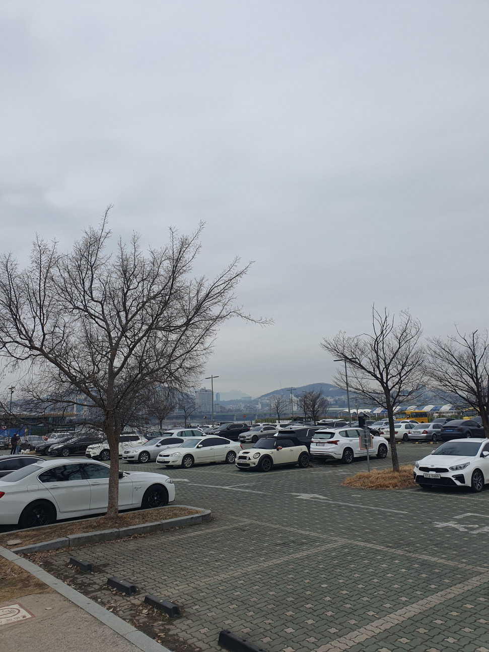 20240218_115917.jpg : 한강공원 20240218_115917.jpg : 한강공원