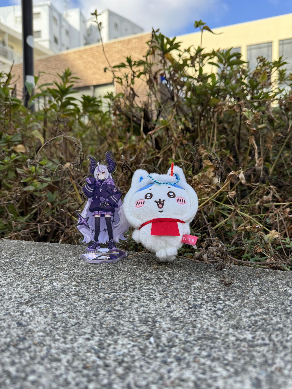 IMG_9057.jpeg : 이거 쵸네흥이다 IMG_9057.jpeg : 이거 쵸네흥이다