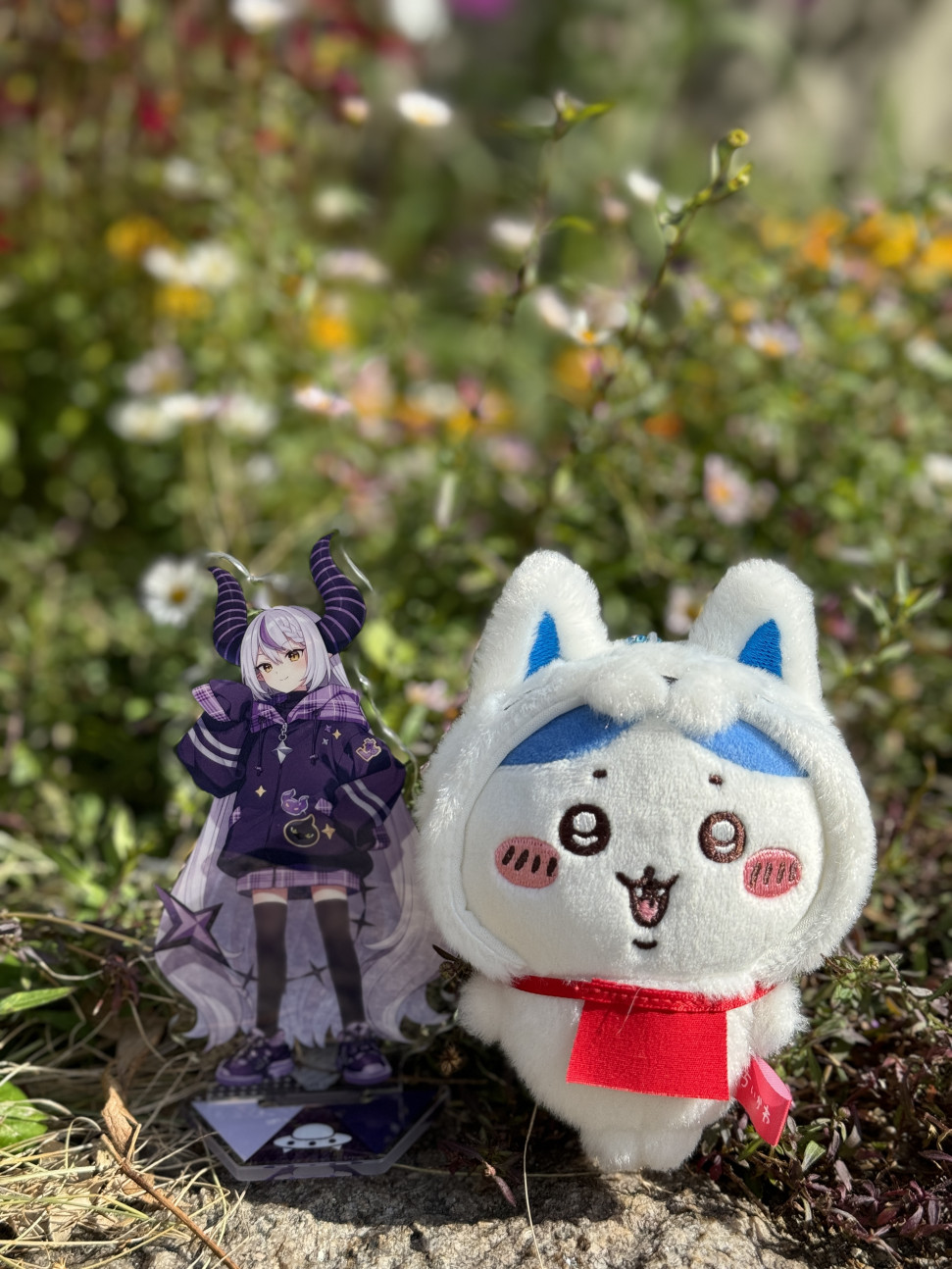 IMG_9060.jpeg : 이거 쵸네흥이다 IMG_9060.jpeg : 이거 쵸네흥이다