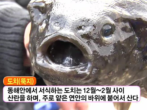 797448d96f416eca9d8d9a46bdba8c2a.jpg : 탕수육 먹엇다 797448d96f416eca9d8d9a46bdba8c2a.jpg : 탕수육 먹엇다