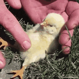 af955032a976293d04c12a2d27c8f6e6.gif : 객지생활이제안한다 af955032a976293d04c12a2d27c8f6e6.gif : 객지생활이제안한다