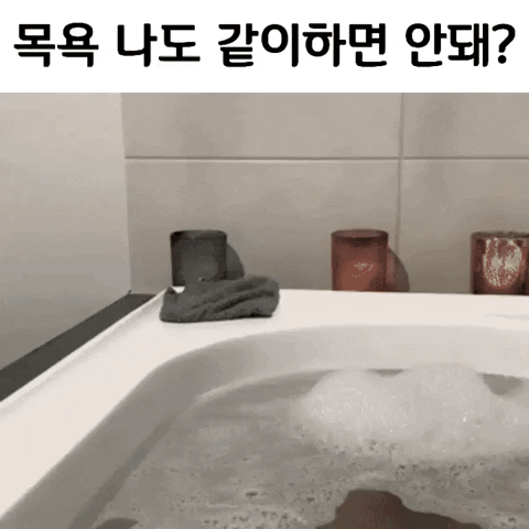 1627960868217.gif : 목욕 나도 같이하면 안 돼? 1627960868217.gif : 목욕 나도 같이하면 안 돼?