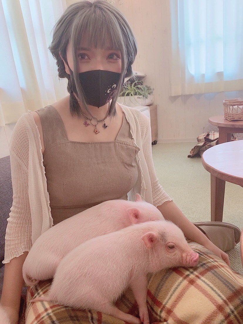 EF073737-CC53-443D-A956-8A19F3D7E784.jpeg : 아기돼지 EF073737-CC53-443D-A956-8A19F3D7E784.jpeg : 아기돼지