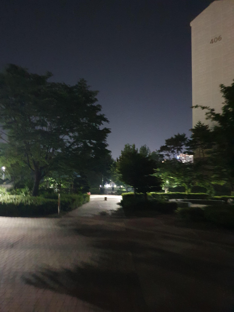 20250530_235636.jpg : 선선하니 좋구나 20250530_235636.jpg : 선선하니 좋구나