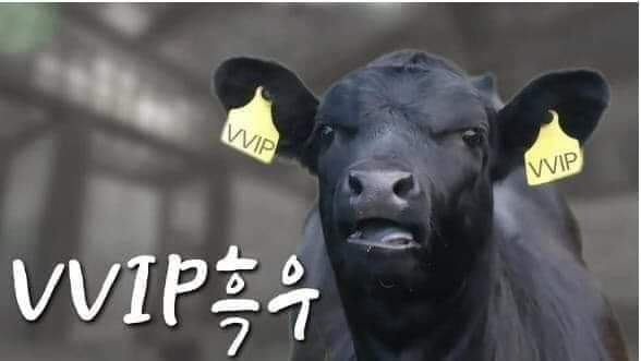 62051526_688692608248097_4978330497265434624_n.jpg : 잠을 많이 못 자서 제정신이 아니다 62051526_688692608248097_4978330497265434624_n.jpg : 잠을 많이 못 자서 제정신이 아니다