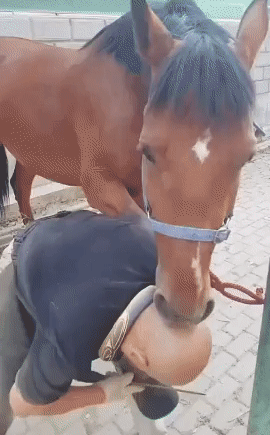 1622687700.gif : 실수로 옆머리 눌러주는거 착용하고 나옴 1622687700.gif : 실수로 옆머리 눌러주는거 착용하고 나옴